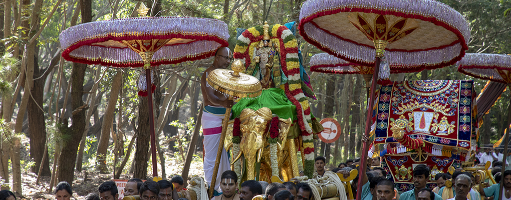 PROCESSION1WEB