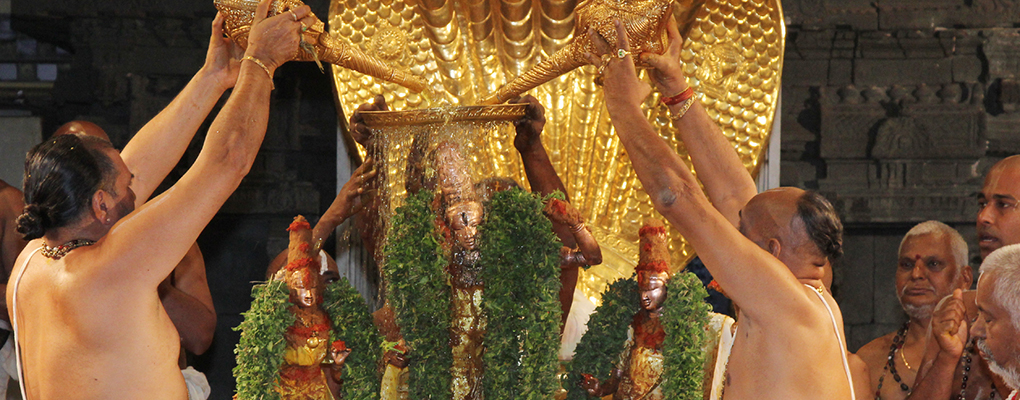 SNAPANATIRUMANJANAMWEB