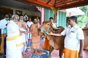SEER OF SRI SHAKTI PEETHAM PRESENTS GIR BREED COW AND A CALF TO TTD