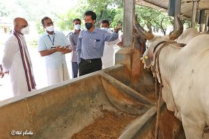 EO TTD INSPECTIONS AT SV DAIRY FARM 07