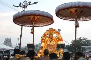Procession of Ramanujacharya Avatar Mahotsavam6