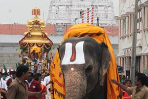 Sri Pat Procession of Golden Chariot7