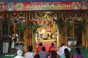 Sri Pat Vasanthotsavam10