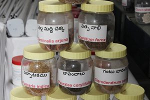 Sri Srinivasa Ayurveda Pharmacy 11