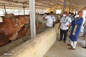 EO INSPECTION AT SV DAIRY FARM1