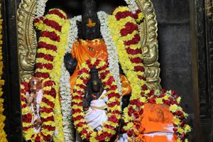 Hanuman Jayanthi Utsavams13