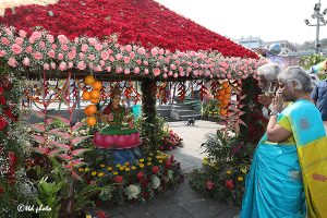 DECORATIONS BY GARDEN WING ATTRACT DEVOTEES7