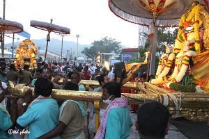 Procession of Ramanujacharya Avatar Mahotsavam1