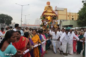 Sri Pat Procession of Golden Chario12