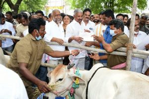 COWS BY TTD IS A BOON TO ORGANIC FARMERS2