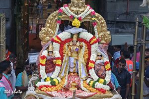MALAYAPPA BACK IN HIS GOLDEN ARMOUR TO BLESS DEVOTEES