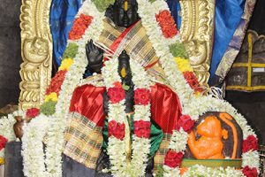 Celebration of Hanumantha Jayanthi at Akasa Ganga Tml7
