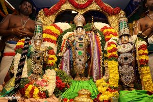 SRI KRT FLOAT FESTIVAL 6