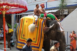 SRI KRT PROCESSION OF SRIVARI PADALU 3 SRI KRT PROCESSION OF SRIVARI PADALU 3