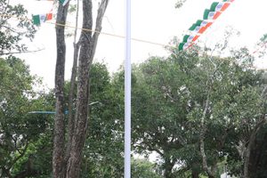 INDEPENDENCE DAY CELEBRATIONS IN TIRUMALA2 INDEPENDENCE DAY CELEBRATIONS IN TIRUMALA2