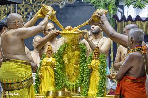 PAVITHROTSAVAM IN TIRUMALA_II IND DAY6 PAVITHROTSAVAM IN TIRUMALA_II IND DAY6