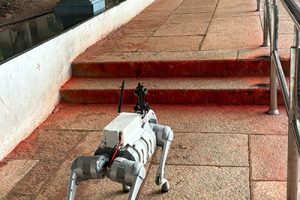 ROBOT DOG FOR WILDLIFE MONITORING3 ROBOT DOG FOR WILDLIFE MONITORING3