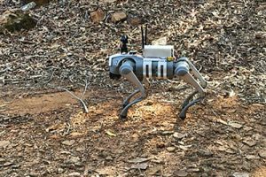 ROBOT DOG FOR WILDLIFE MONITORING4 ROBOT DOG FOR WILDLIFE MONITORING4