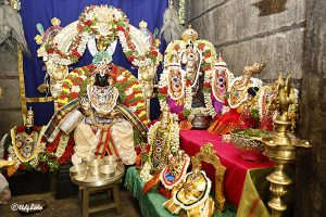TIRUMALA NAMBI AVATHARA MAHOTSAVAM 02 TIRUMALA NAMBI AVATHARA MAHOTSAVAM 02