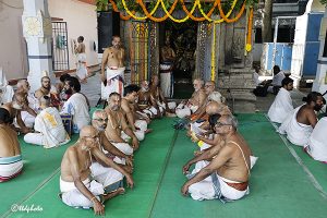TIRUMALA NAMBI AVATHARA MAHOTSAVAM03 TIRUMALA NAMBI AVATHARA MAHOTSAVAM03