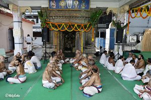 TIRUMALA NAMBI AVATHARA MAHOTSAVAM04 TIRUMALA NAMBI AVATHARA MAHOTSAVAM04