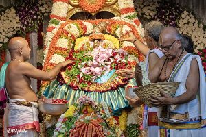 VARALAKSHMI VRATHAM IN SRI PAT12 VARALAKSHMI VRATHAM IN SRI PAT12