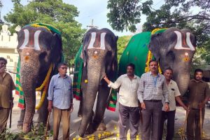 WORLD ELEPHANT DAY OBSERVED AT SV GOSHALA2 WORLD ELEPHANT DAY OBSERVED AT SV GOSHALA2