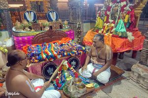 ANKURARPANAM IN DEVUNI KADAPA ANKURARPANAM IN DEVUNI KADAPA