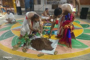 ANKURARPANAM IN DEVUNI KADAPA3 ANKURARPANAM IN DEVUNI KADAPA3