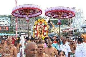 BAGH SAVARI BAGH SAVARI