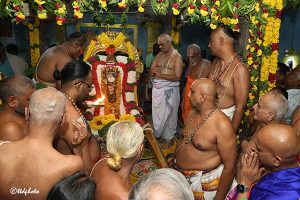 BAGH SAVARI1 BAGH SAVARI1