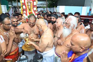 BAGH SAVARI3 BAGH SAVARI3