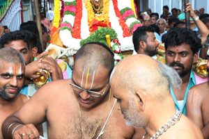BAGH SAVARI4 BAGH SAVARI4