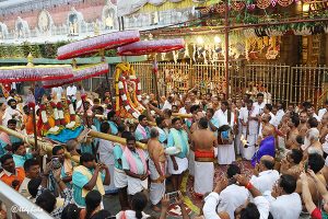 BAGH SAVARI5 BAGH SAVARI5