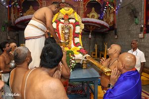 BAGH SAVARI7 BAGH SAVARI7
