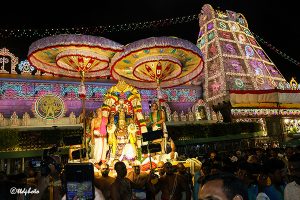 BHADRAPADAM MASAM GARUDA SEVA 4 BHADRAPADAM MASAM GARUDA SEVA 4