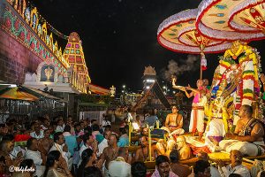 BHADRAPADAM MASAM GARUDA SEVA 5 BHADRAPADAM MASAM GARUDA SEVA 5