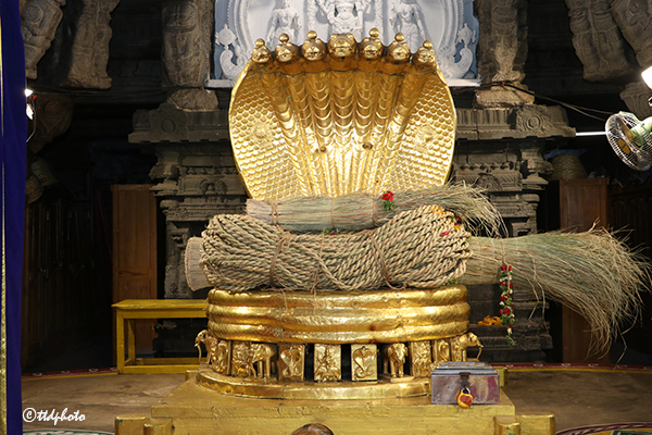 DARBHA MAT1