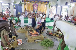 FIVE DAY KAREERISTI YAGAM CONCLUDE WITH PURNAHUTHI1 FIVE DAY KAREERISTI YAGAM CONCLUDE WITH PURNAHUTHI1