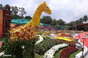 FLOWER SHOW EXIHIBITION13 FLOWER SHOW EXIHIBITION13