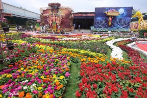 FLOWER SHOW EXIHIBITION2 FLOWER SHOW EXIHIBITION2