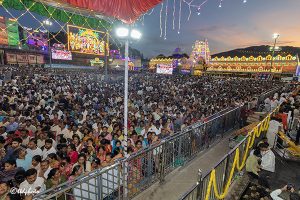 GARUDA VAHANA CROWD