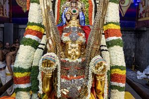 GARUDA VAHANAM1 GARUDA VAHANAM1