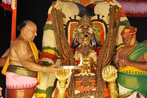 GARUDA VAHANAM11 GARUDA VAHANAM11