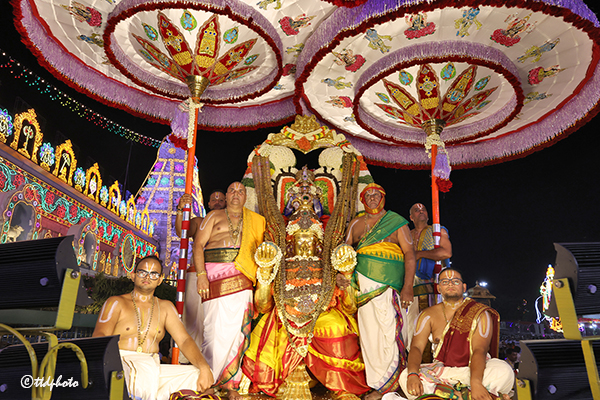 GARUDA VAHANAM9