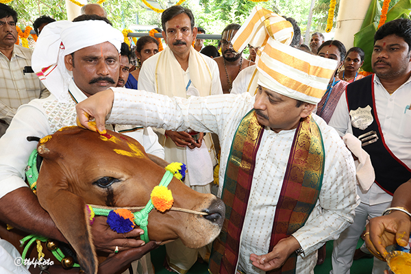 GO PUJA IN SV GOSHALA1