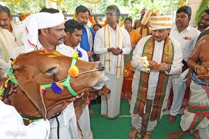 GO PUJA IN SV GOSHALA3 GO PUJA IN SV GOSHALA3