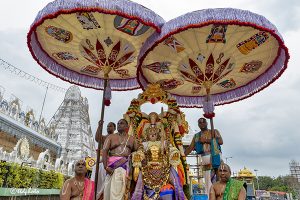 HANUMANTHA VAHANAM2