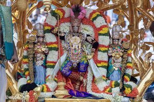 KALPAVRIKSHA VAHANAM KALPAVRIKSHA VAHANAM