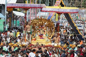 KALPAVRIKSHA VAHANAM13 KALPAVRIKSHA VAHANAM13